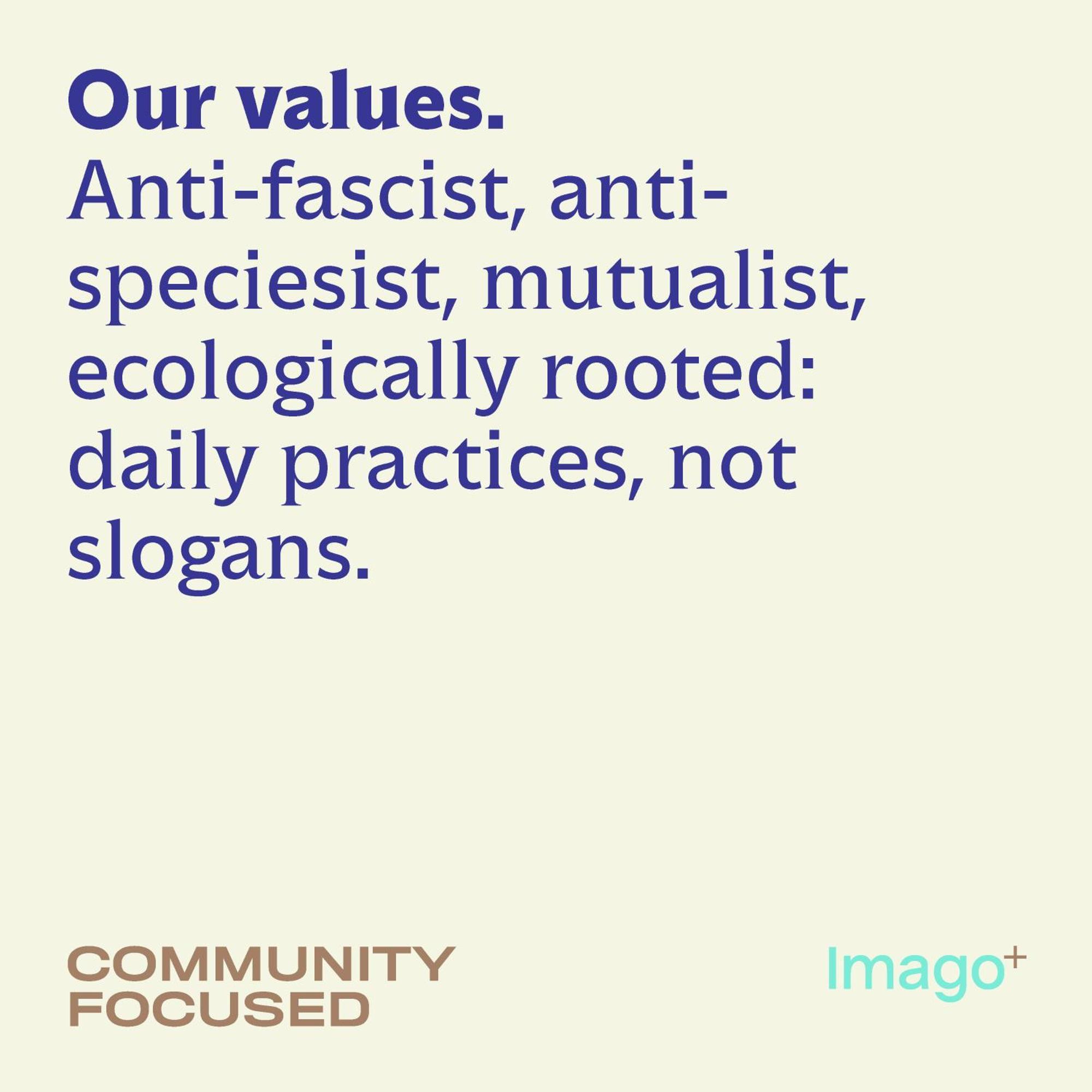 Imago Bari